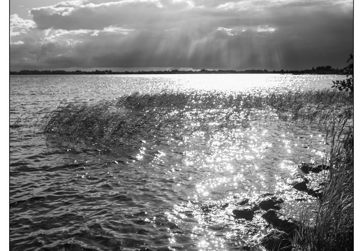 20250721-Luchten-109