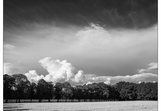 20250721-Luchten-113