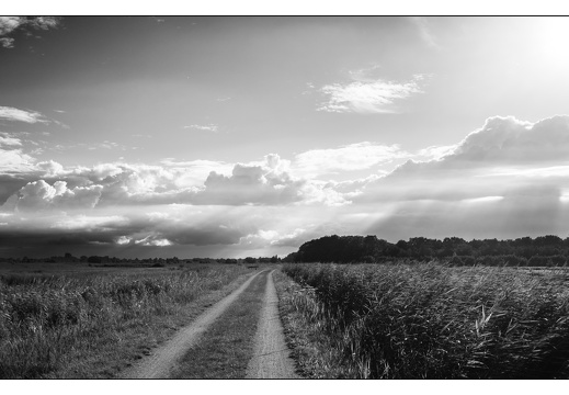 20250721-Luchten-118