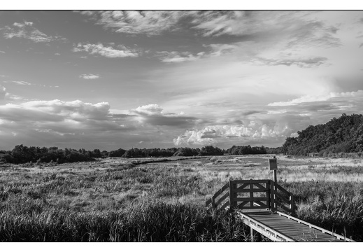 20250721-Luchten-122