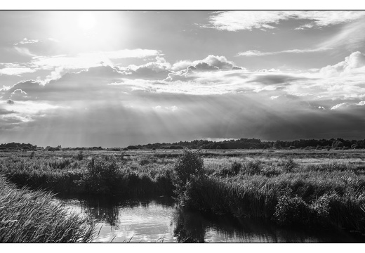 20250721-Luchten-127