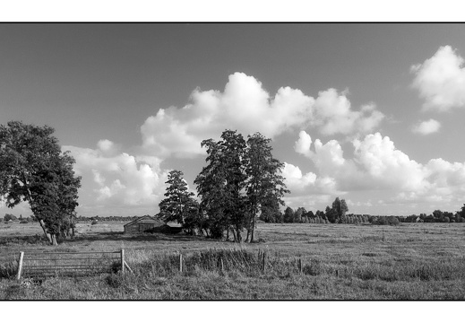 20250727-F100-PanF-103