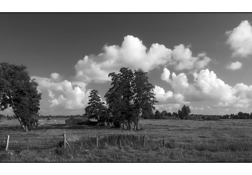 20250727-F100-PanF-104