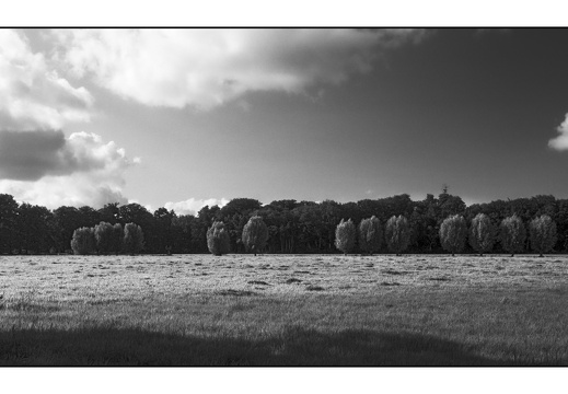 20250727-F100-PanF-105