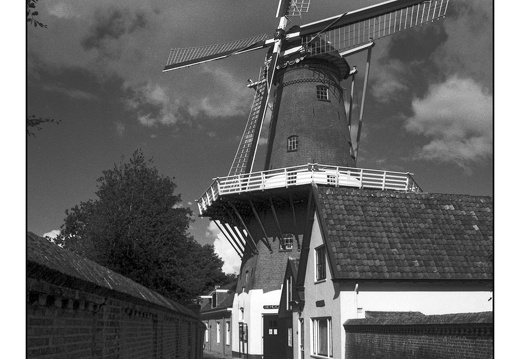 20250727-F100-PanF-106