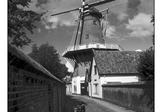 20250727-F100-PanF-107