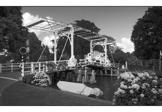 20250727-F100-PanF-108