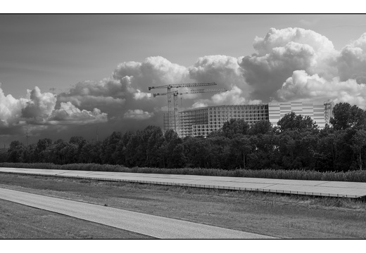 20250727-Flevopolder-102