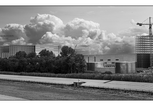 20250727-Flevopolder-103