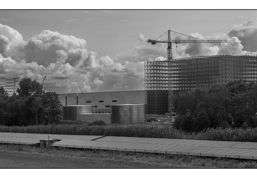 20250727-Flevopolder-104