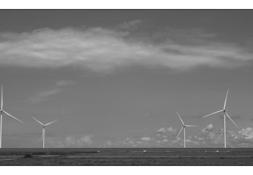 20250727-Flevopolder-109