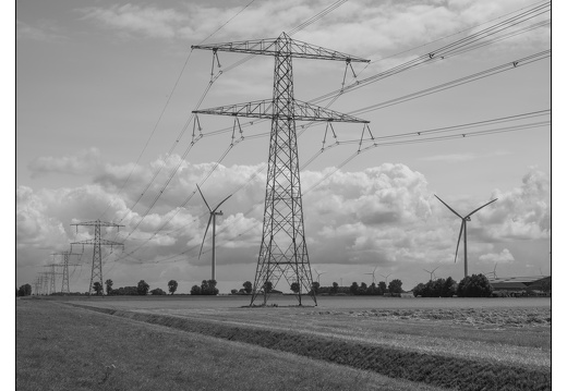 20250727-Flevopolder-110