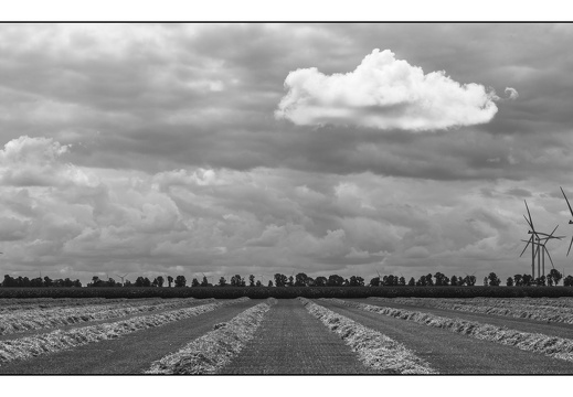 20250727-Flevopolder-111