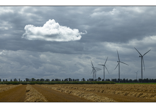 20250727-Flevopolder-112