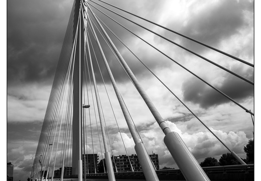 20250802-Fietsen-110