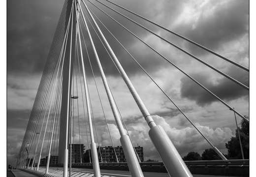 20250802-Fietsen-111