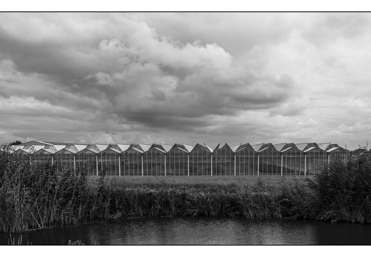 20250802-Fietsen-116