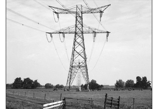 20250809-OM4-50mm1.2-PanF-Fietsen-101