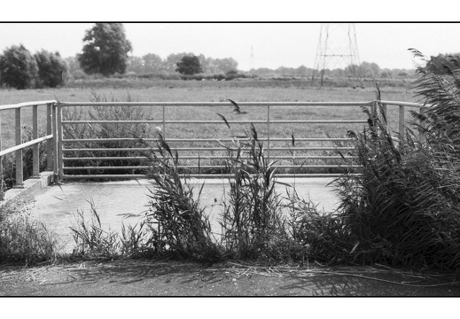 20250809-OM4-50mm1.2-PanF-Fietsen-106