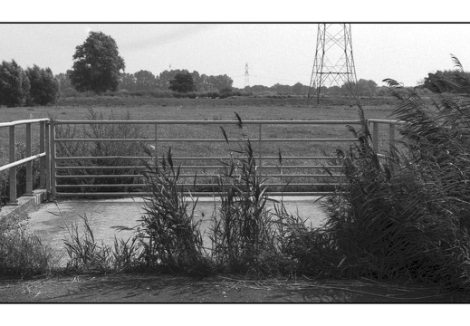 20250809-OM4-50mm1.2-PanF-Fietsen-107