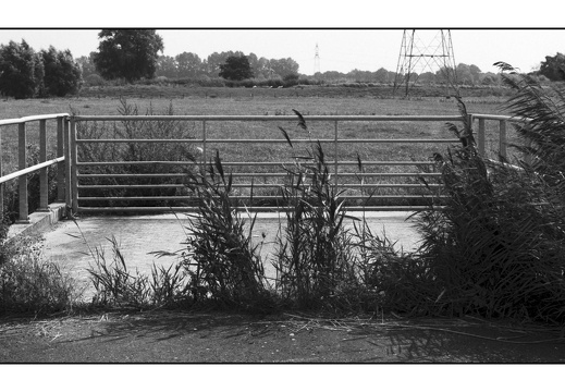 20250809-OM4-50mm1.2-PanF-Fietsen-108