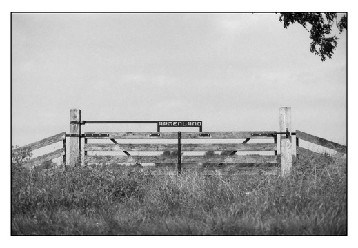 20250809-OM4-50mm1.2-PanF-Fietsen-109