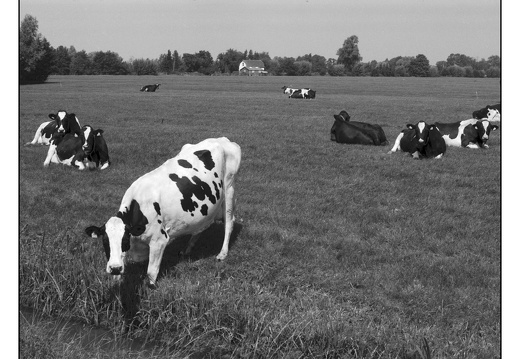 20250809-OM4-50mm1.2-PanF-Fietsen-113