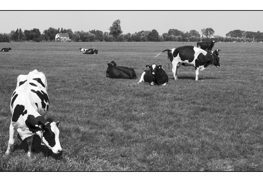 20250809-OM4-50mm1.2-PanF-Fietsen-117