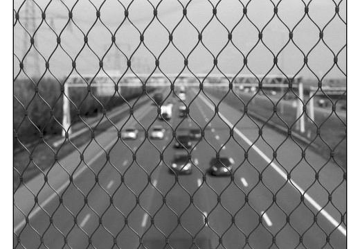 20250809-OM4-50mm1.2-PanF-Fietsen-125