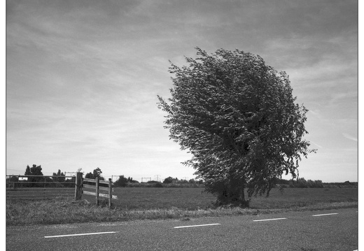 20250907-GSW690-Tmax100-Fietsen-103