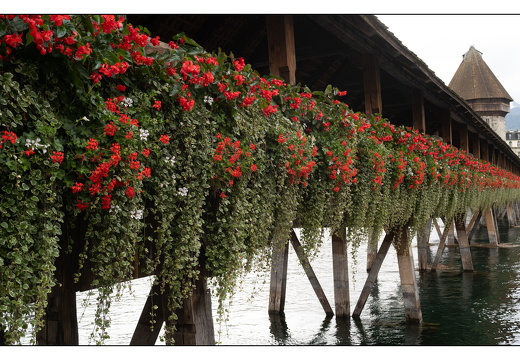 20250916-Zwitserland-115