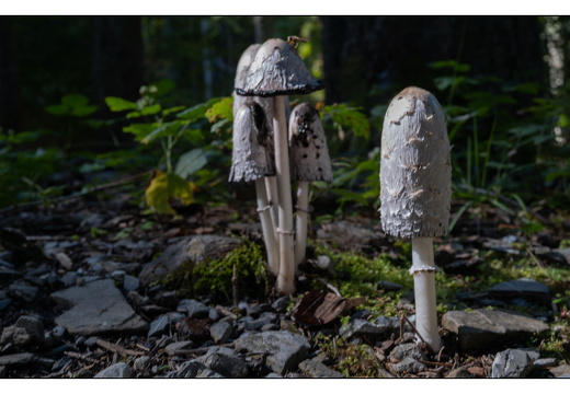 20250917-Zwitserland-117