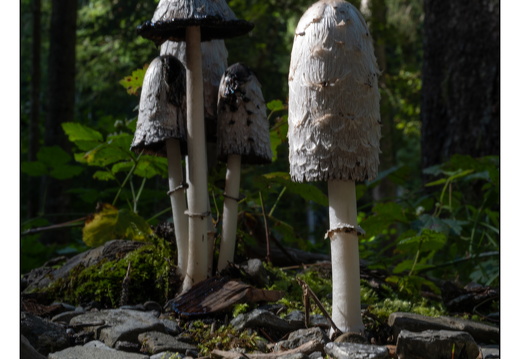 20250917-Zwitserland-118