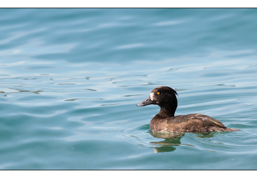 20250917-Zwitserland-128