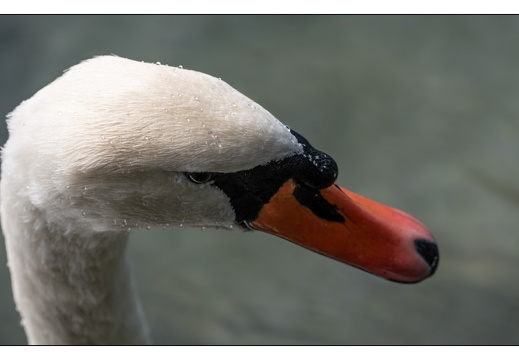 20250917-Zwitserland-129