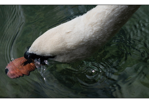 20250917-Zwitserland-130