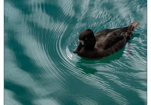 20250917-Zwitserland-132