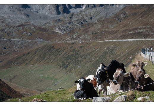 20250918-Zwitserland-Furka-106