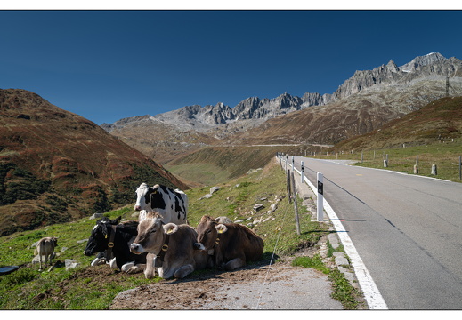 20250918-Zwitserland-Furka-111