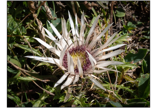 20250919-Zwitserland-Betelberg-116