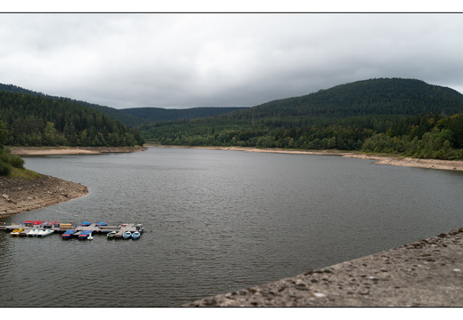 20250921-ZwarteWoud-102