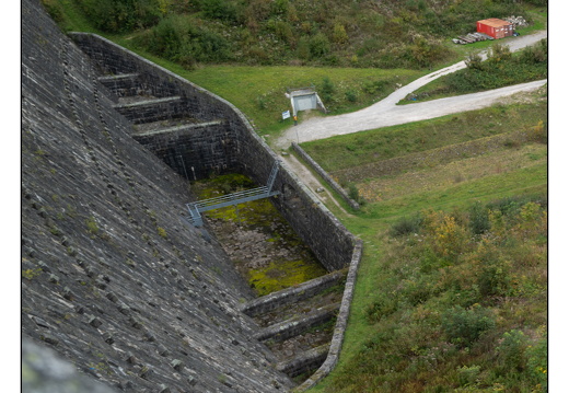 20250921-ZwarteWoud-103