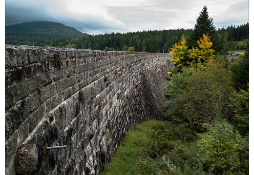 20250921-ZwarteWoud-107