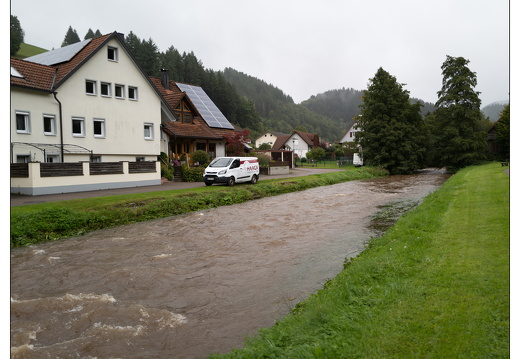 20250922-ZwarteWoud-101