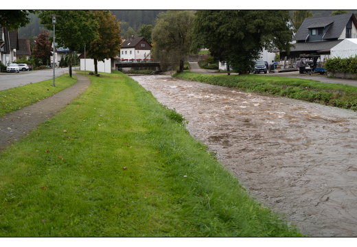 20250922-ZwarteWoud-102