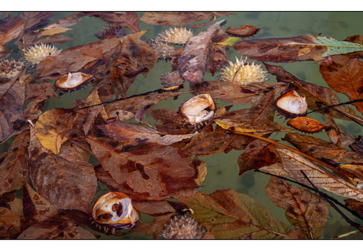 20250924-Schaffhausen-120