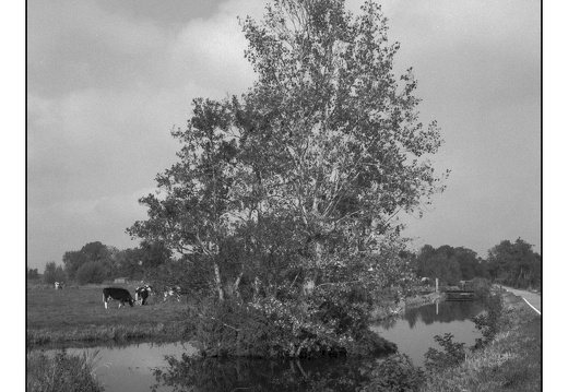 20250930-M6-35mm-ArcosII-Vakantie-109