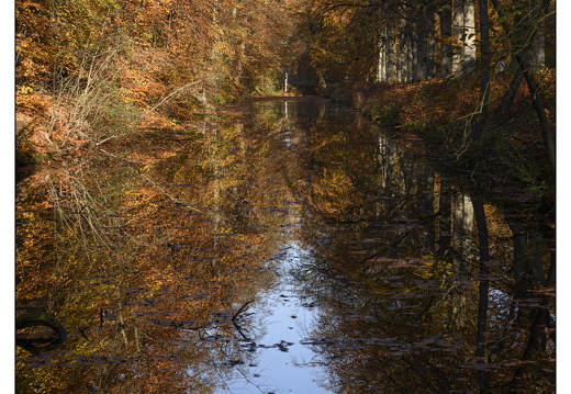 20251108-Corversbos-103