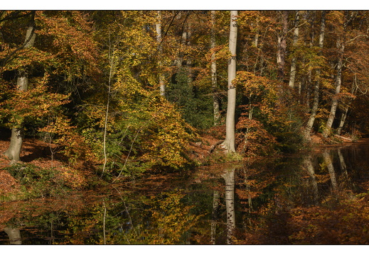 20251108-Corversbos-105