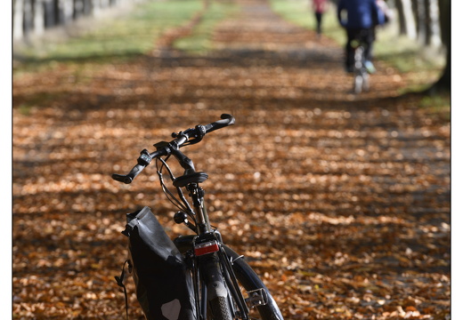 20251108-Corversbos-106